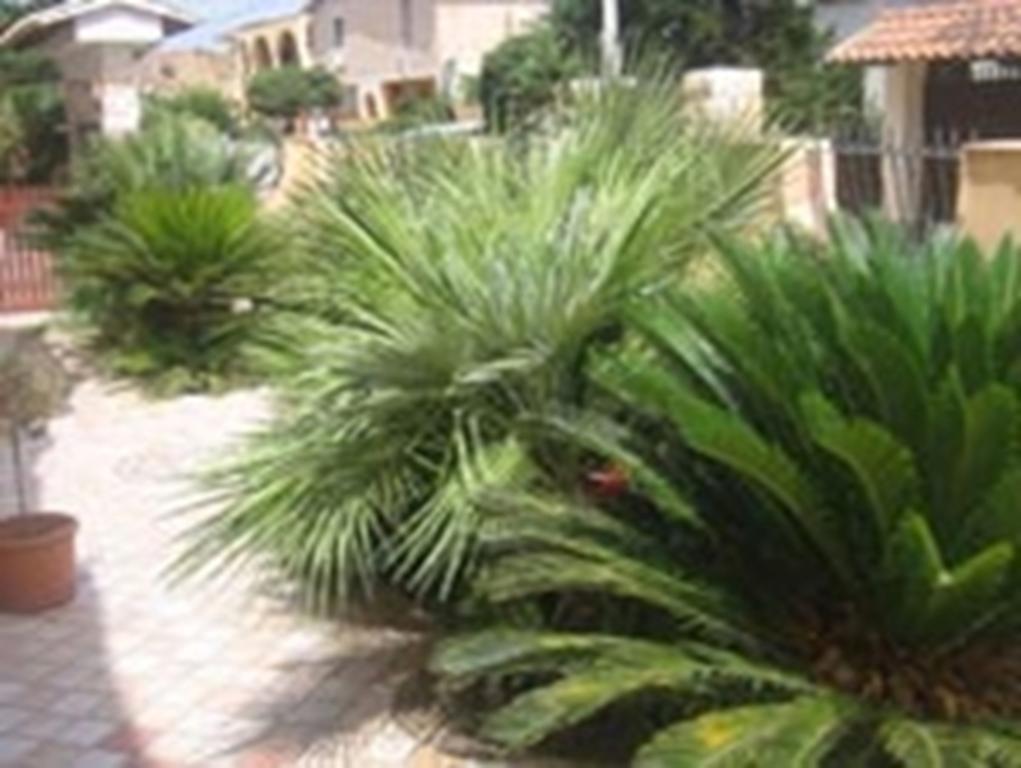 B&B Villa Olimpo Le Torri 아그리젠토 외부 사진